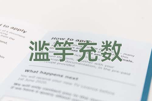 成语滥竽充数
