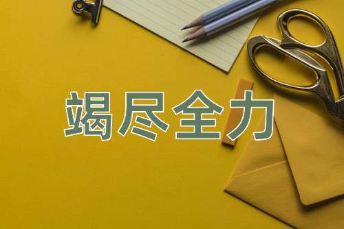 成语竭尽全力