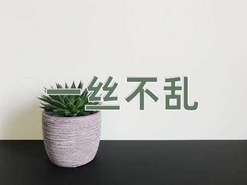 成语一丝不乱