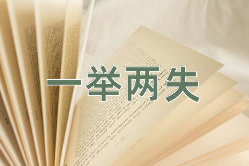 成语一举两失