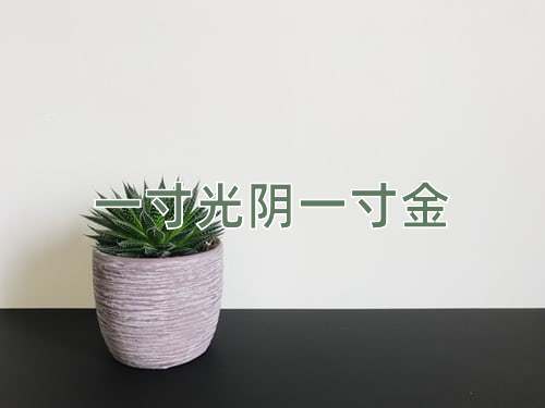 成语一寸光阴一寸金