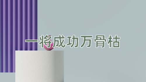 成语一将成功万骨枯