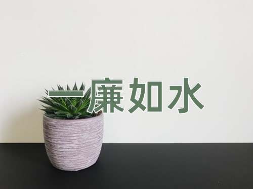 成语一廉如水