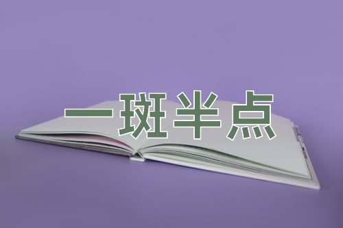 成语一斑半点