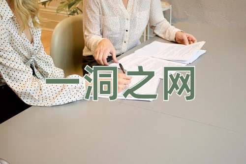 成语一洞之网