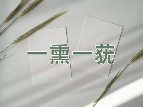 成语一熏一莸