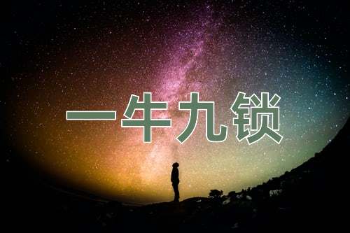 成语一牛九锁