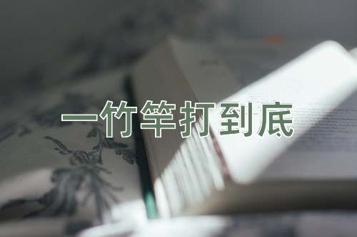 成语一竹竿打到底