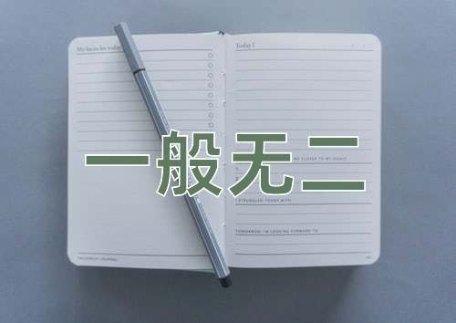 成语一般无二