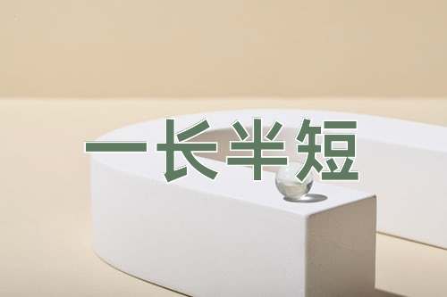 成语一长半短