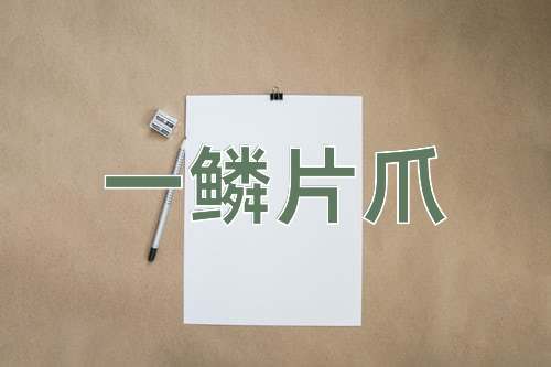 成语一鳞片爪