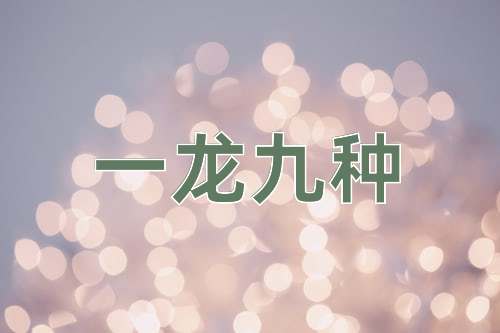 成语一龙九种