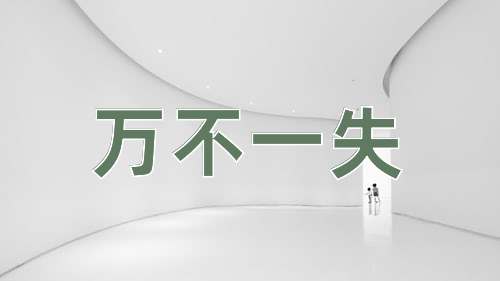 成语万不一失