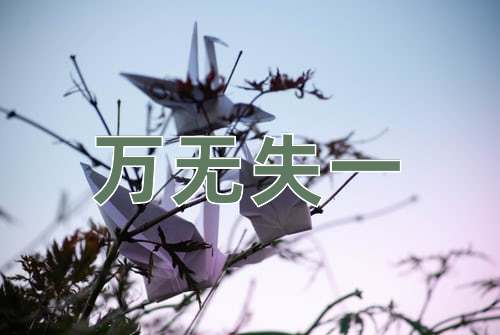 成语万无失一