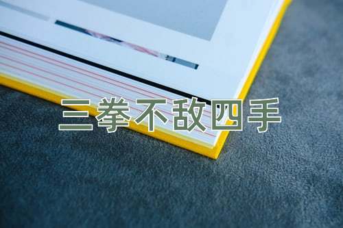 成语三拳不敌四手