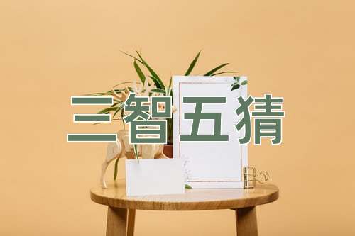 成语三智五猜