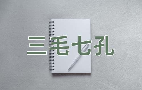 成语三毛七孔