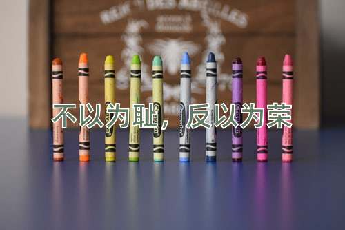 成语不以为耻，反以为荣