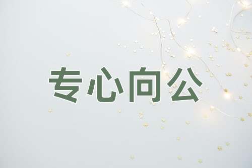 成语专心向公
