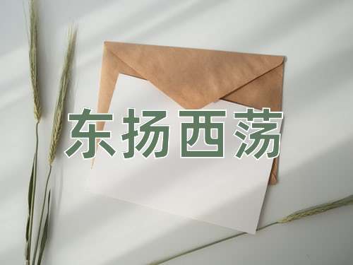 成语东扬西荡