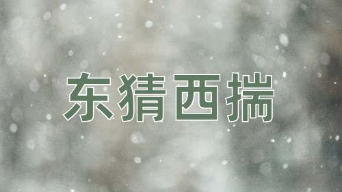 成语东猜西揣