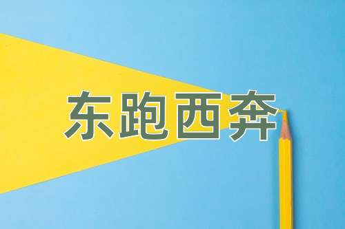 成语东跑西奔