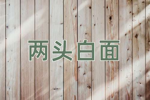 成语两头白面