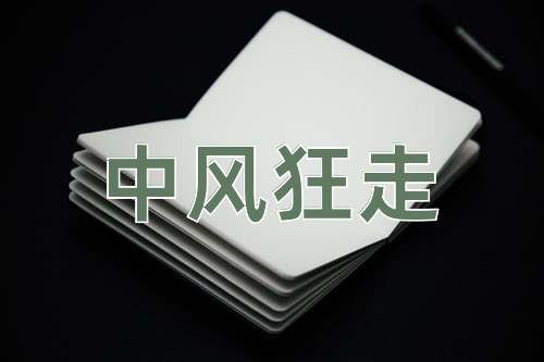 成语中风狂走
