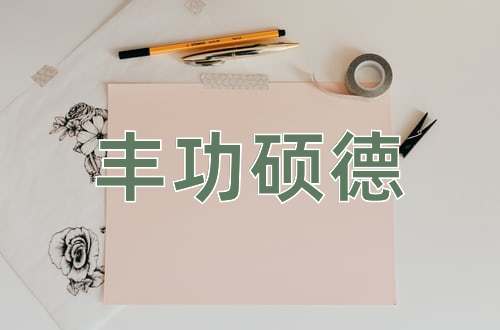 成语丰功硕德