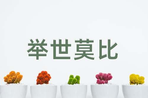 成语举世莫比