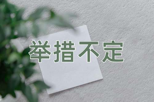 成语举措不定