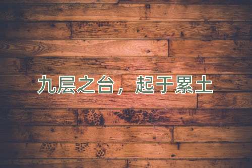 成语九层之台，起于累土