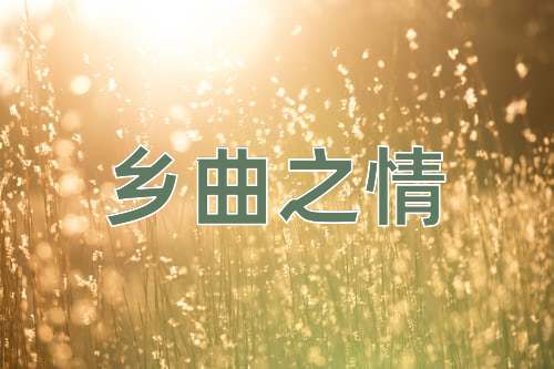 成语乡曲之情