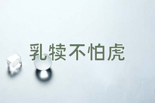 成语乳犊不怕虎