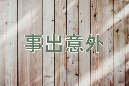 成语事出意外