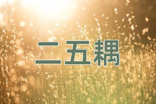 成语二五耦