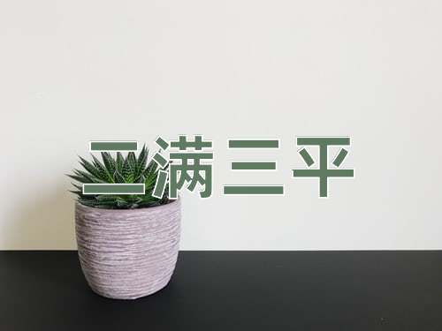 成语二满三平