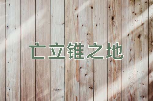 成语亡立锥之地