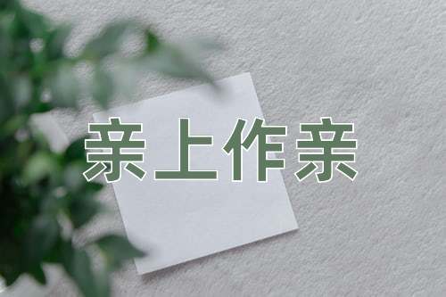 成语亲上作亲