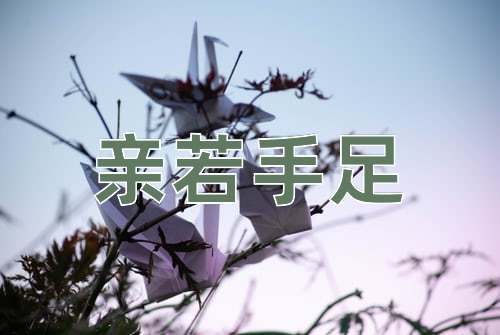成语亲若手足