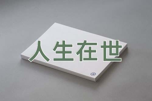 成语人生在世