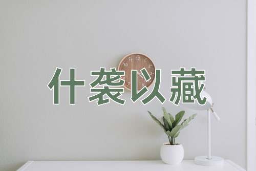 成语什袭以藏