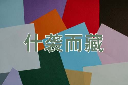 成语什袭而藏