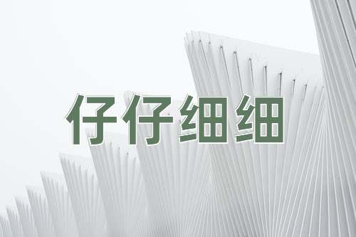 成语仔仔细细