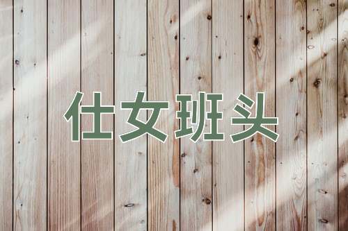 成语仕女班头