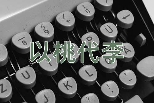 成语以桃代李
