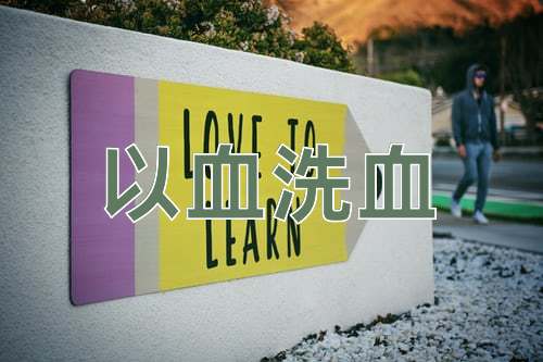 成语以血洗血