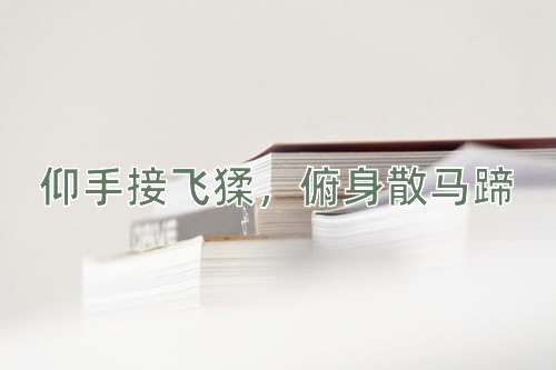 成语仰手接飞猱，俯身散马蹄