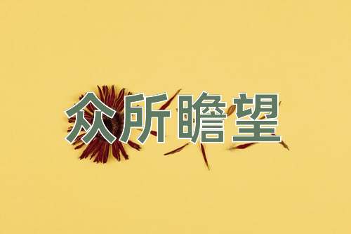 成语众所瞻望