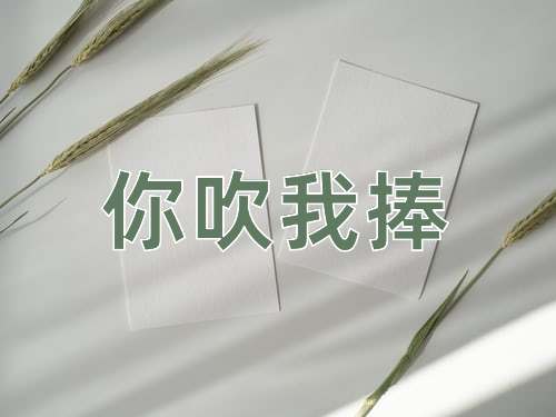成语你吹我捧